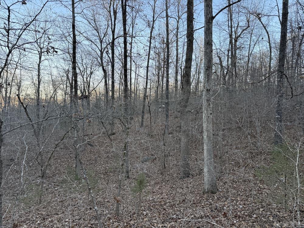 Not in Subdivision - Land