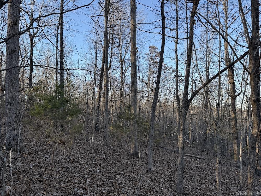 Not in Subdivision - Land