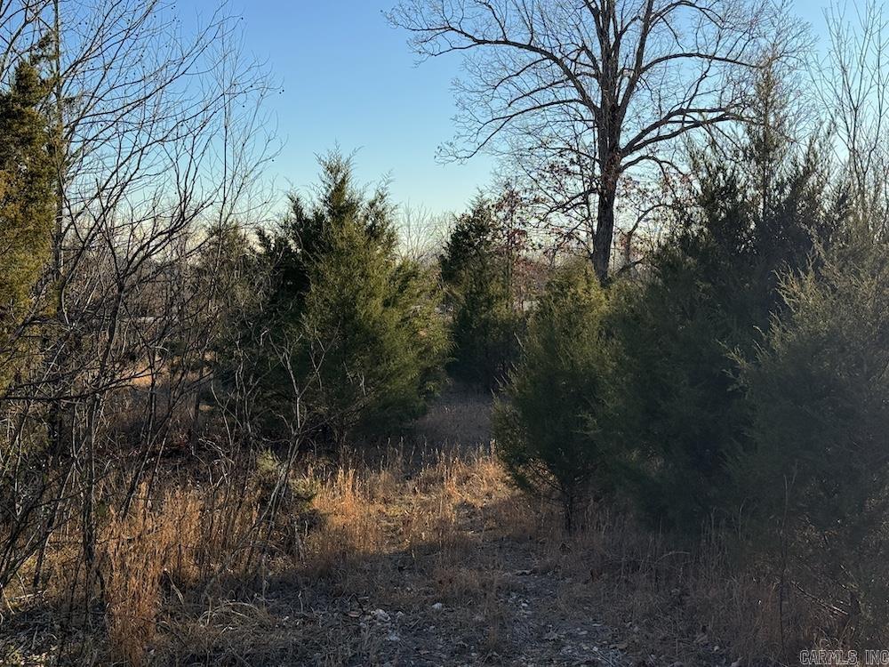 Not in Subdivision - Land