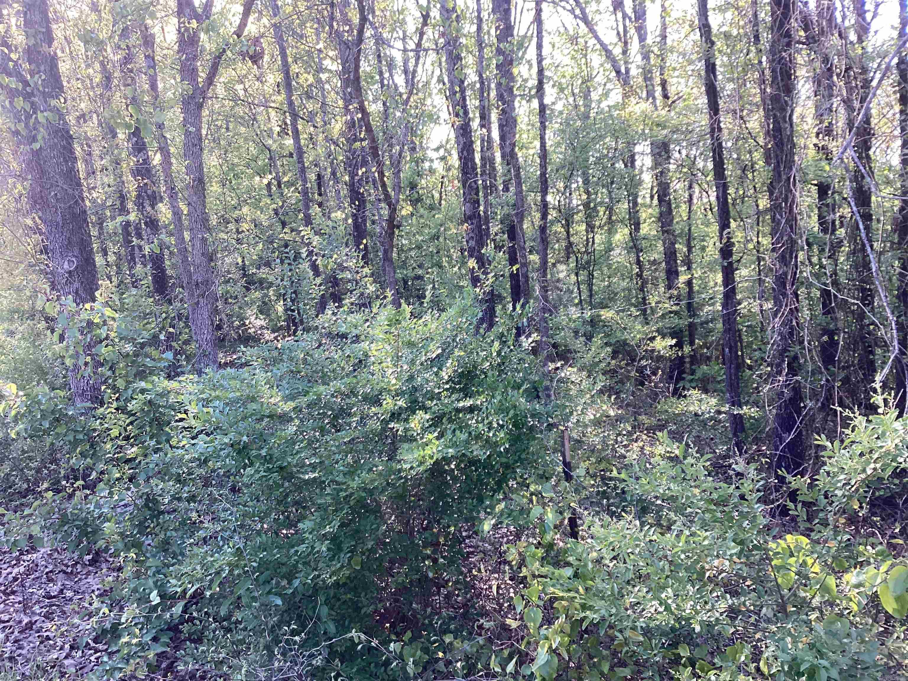 Pine Ridge - Land