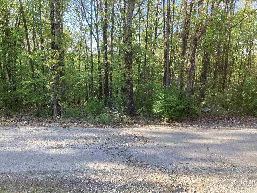 This Rose Bud city lot has the convenience of being in town with the privacy of being in the country. Rose Bud city park is just a short walk away. Unique property because Pine Ridge Road only has a handful of homes on it, so the traffic is extremely scarce. With road frontage on both sides you can choose which porch you want to face the downhill side, front or back!!!