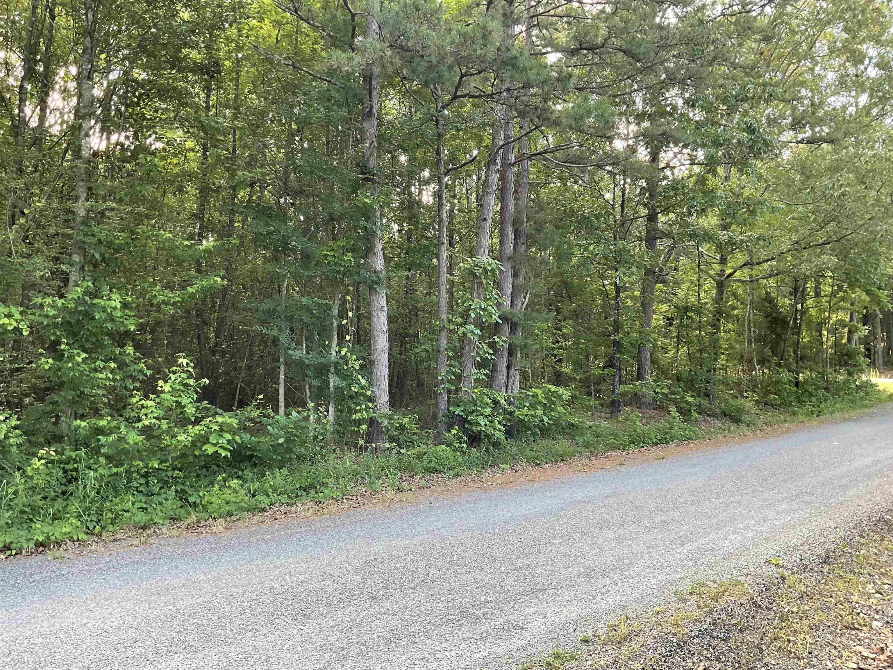 Budd Creek area, 4 Lots together for a large tree shaded building place or this area does allow mobiles. Lot 81 is a corner lot on Jaquero and Concho. the 4 lots total apporx. 3.01 acres. City water and electric are available at the road and no perc test has been done. Paved roads and close to the lake.