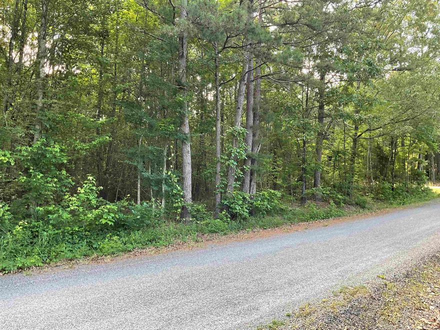 Budd Creek area, 4 Lots together for a large tree shaded building place or this area does allow mobiles. Lot 81 is a corner lot on Jaquero and Concho. the 4 lots total apporx. 3.01 acres. City water and electric are available at the road and no perc test has been done. Paved roads and close to the lake.