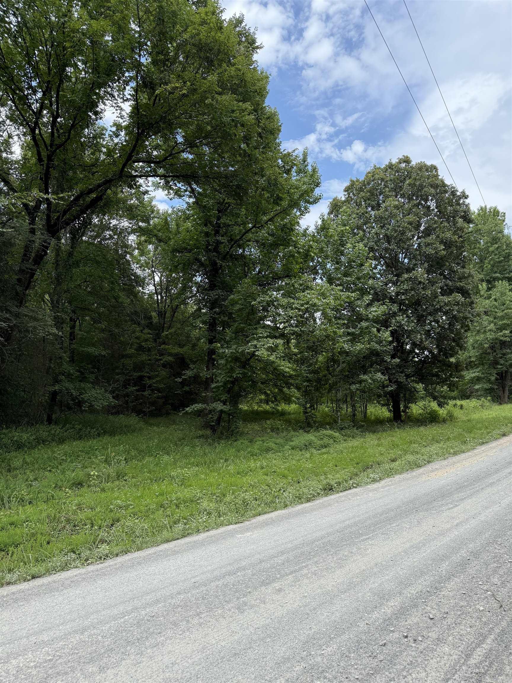 You can't buy happiness but you can buy 40 beautiful areas with amazing trees and a view!! Are you looking to build a home, looking for an escape from the hustle and bustle of life, or just wanting to hunt a bit from an amazing deer stand already on property? This is the perfect location!! Close enough to the city life but far enough away for peace and tranquility.