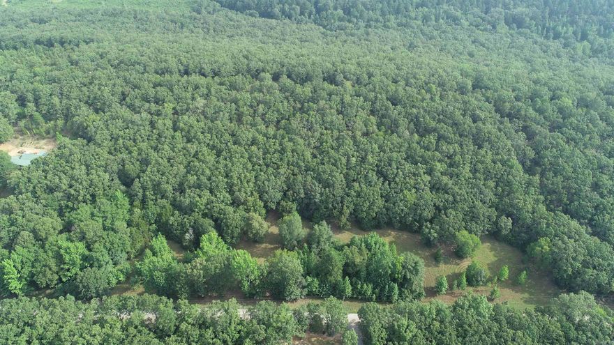 You can't buy happiness but you can buy 40 beautiful areas with amazing trees and a view!!  Are you looking to build a home, looking for an escape from the hustle and bustle of life, or just wanting to hunt a bit from an amazing deer stand already on property?  This is the perfect location!!  Close enough to the city life but far enough away for peace and tranquility.