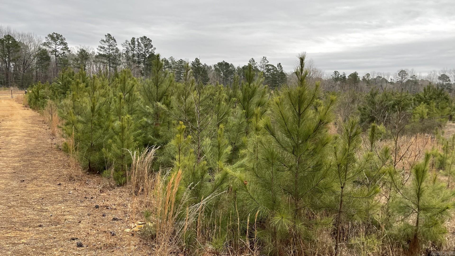 Not in Subdivision - Land