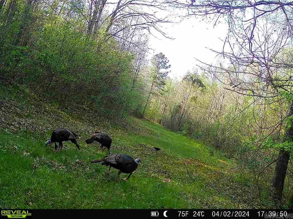 Not in Subdivision - Land