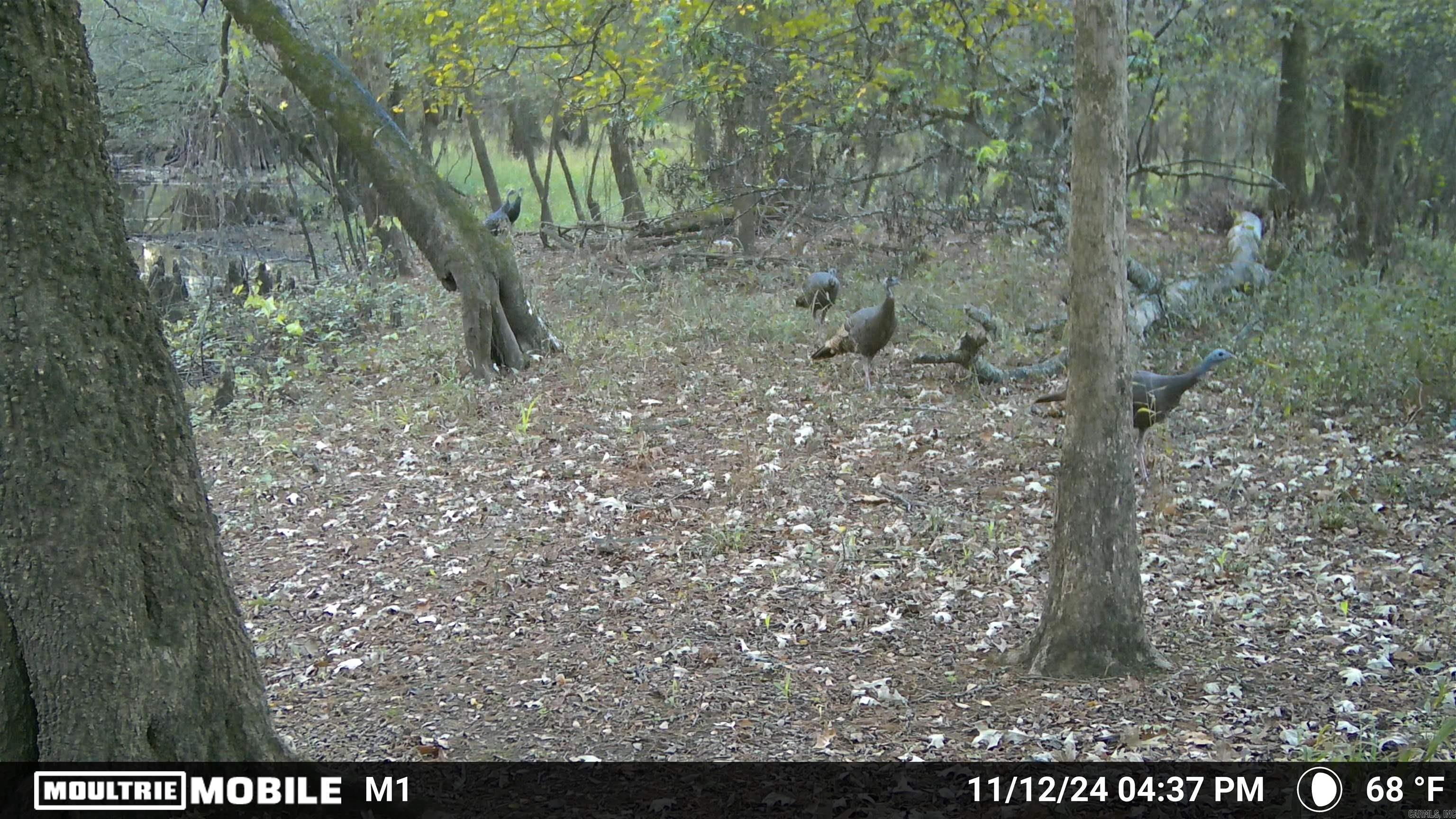 Not in Subdivision - Land