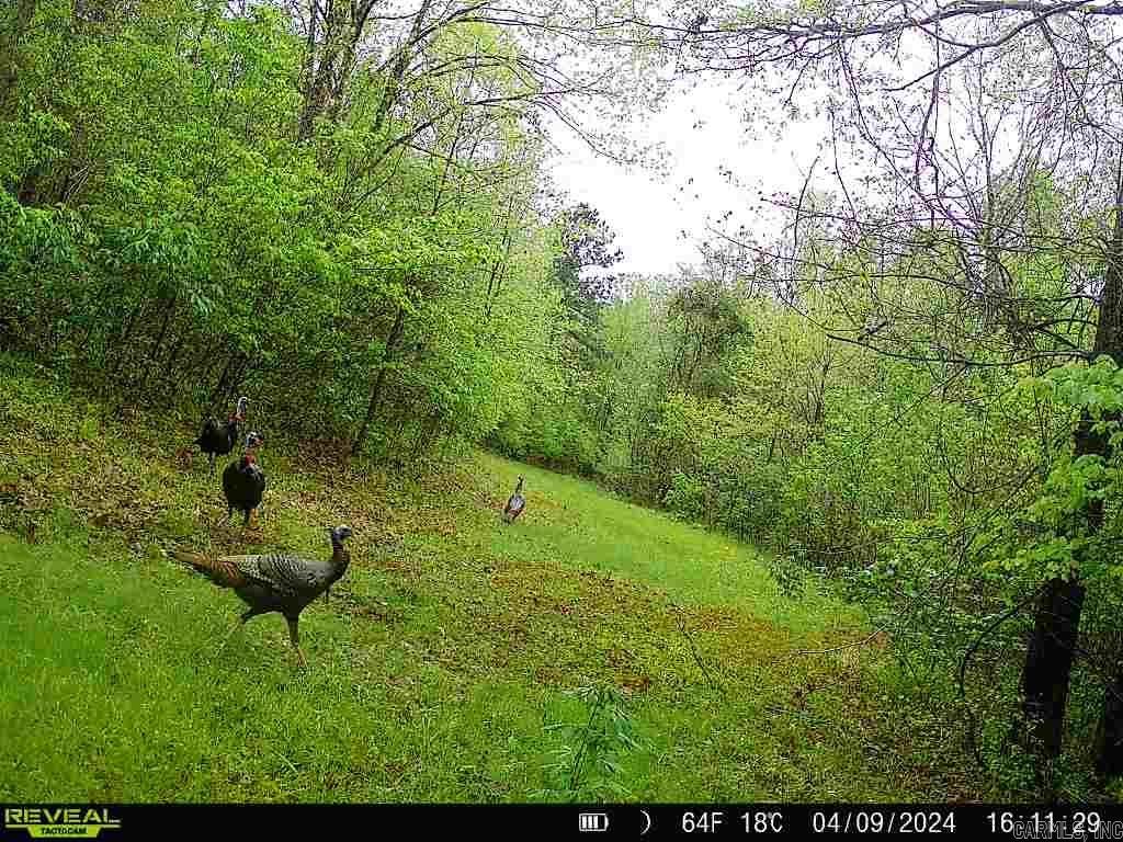 Not in Subdivision - Land