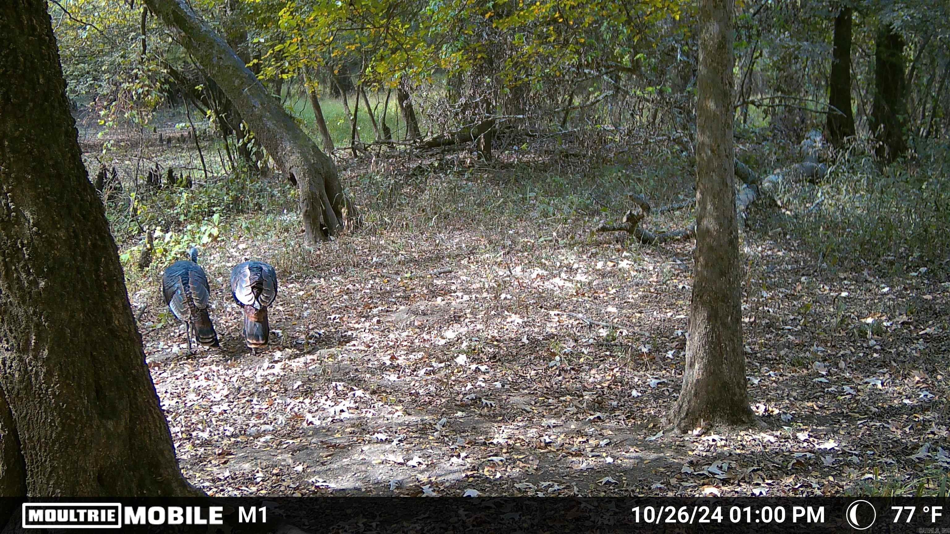 Not in Subdivision - Land