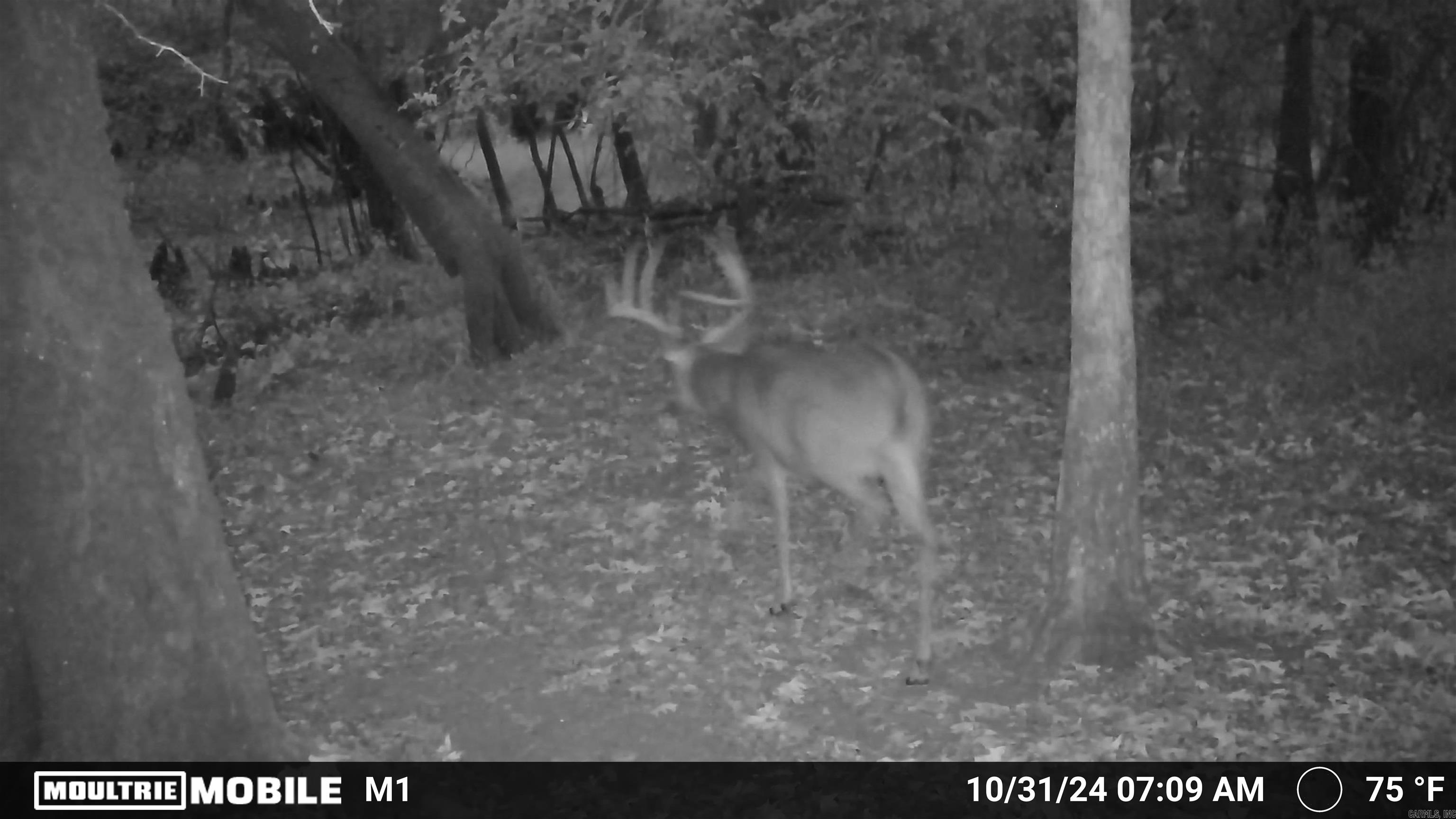 Not in Subdivision - Land