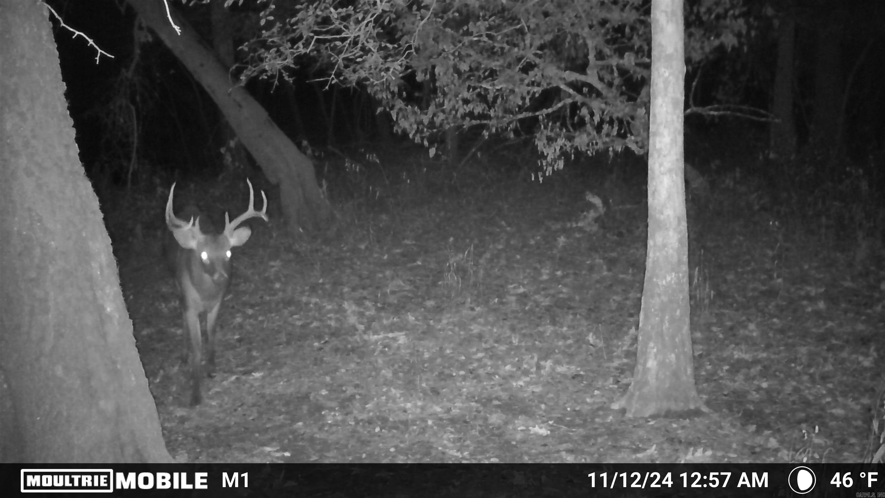 Not in Subdivision - Land