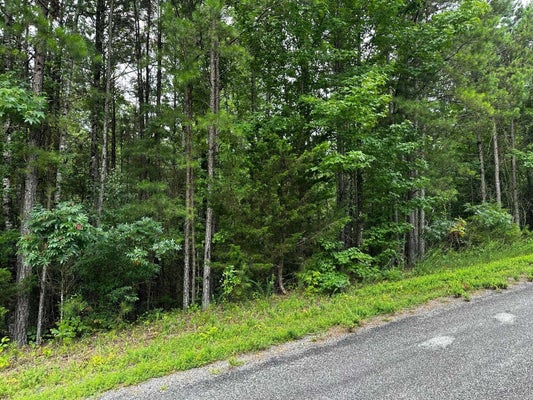 107 COBALT LN, SHIRLEY, AR 72153 - Image 0750f0bc3b2bb9f3e415b64407d71b0e/1810403944