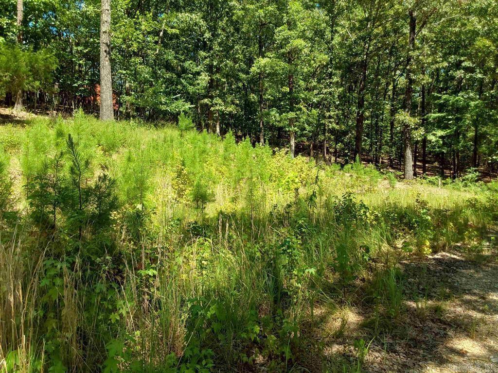 Colonel Glenn - Land