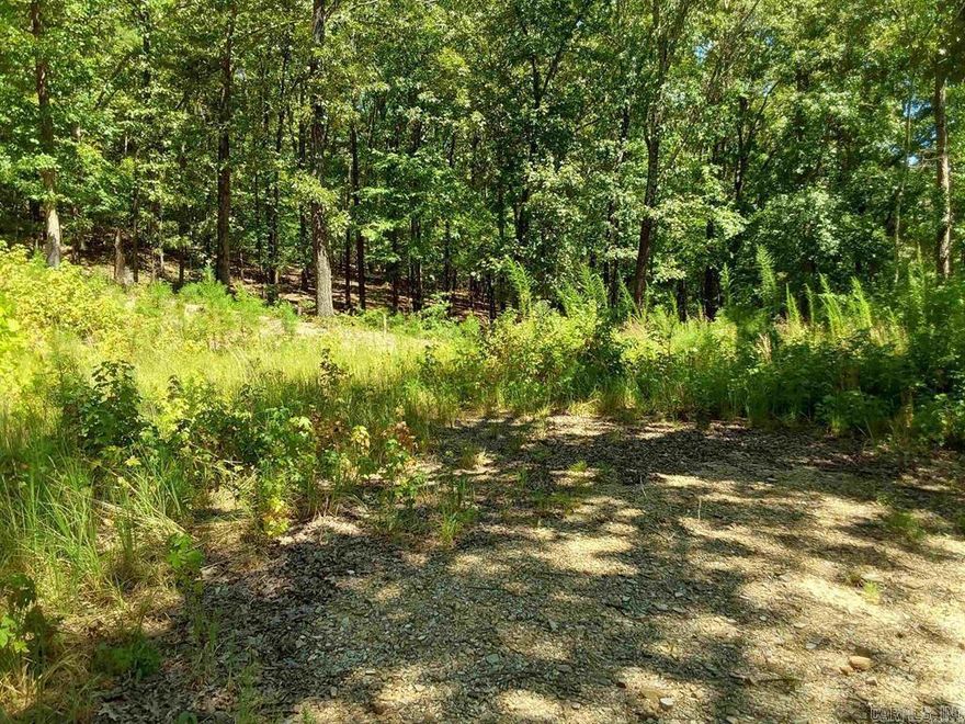 Nice lot to build your dream home.  1.12 acres +/-   Slightly wooded with large mature trees, but ready to clear for home site.  Electric pole on property.  No water on property, but at road to hook on. Previous Owner had property perked.  See attached documents