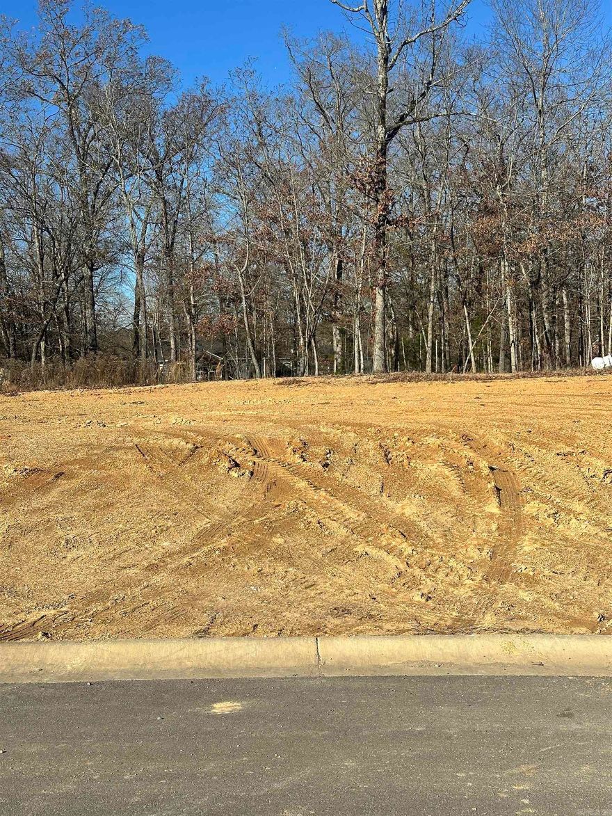 One of the few remaining Lots of Phase 3 of The Preserve at the Woodlands.  The most level lot remaining.  Cleared and level, this lot is ready to build on!  The highly desirable Woodlands/Preserve Subdivision has tons of amenities with a gated pool, new playground and miles of nature trails. This lot is facing South with walking trails in the rear.