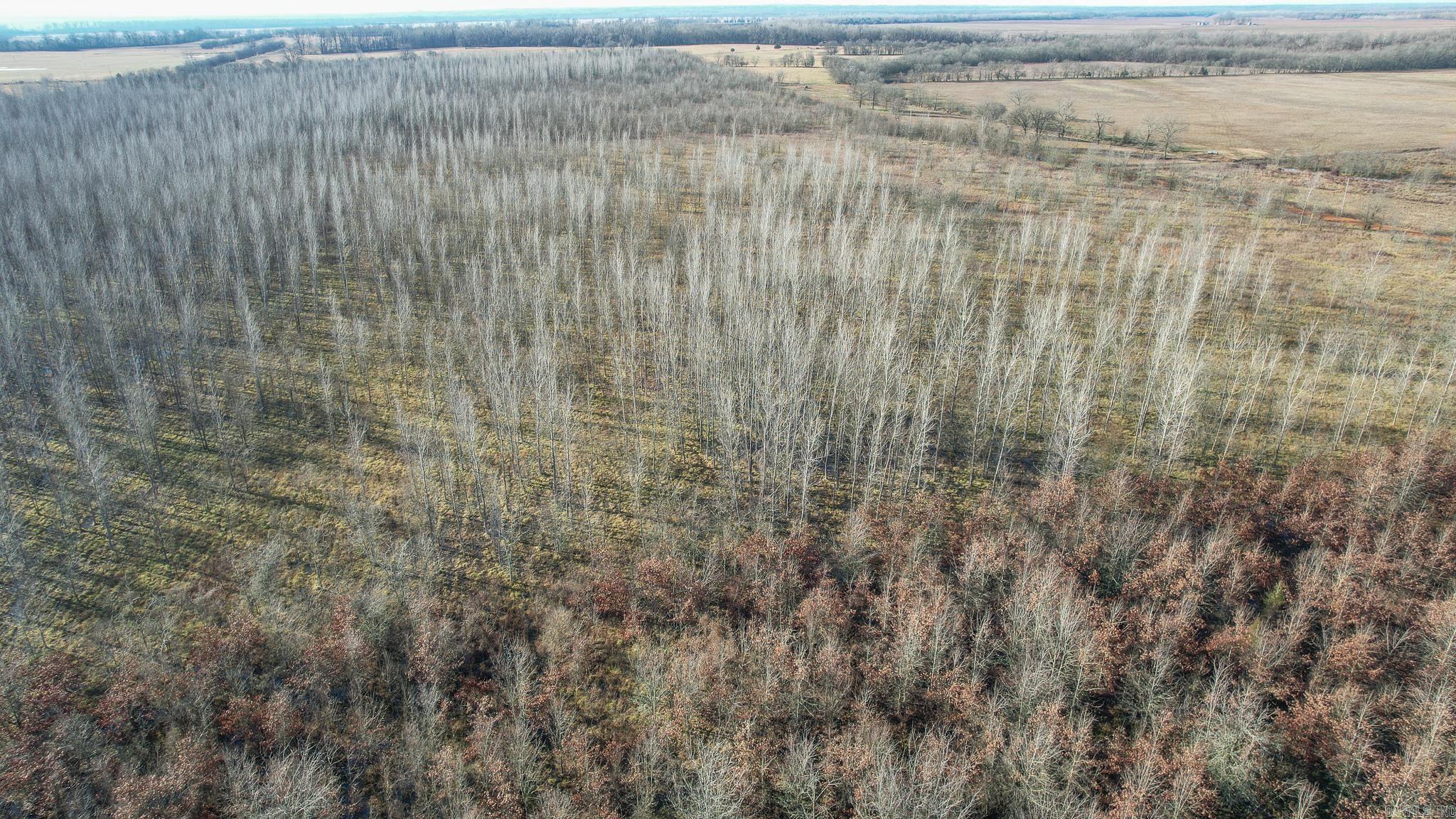This wooded hunting property is completely wooded and located close to the Red River. The property is completely wooded and has a large majority of the acres planted in hardwoods. Already a good deer and hog hunting place, but has a ton of potential to be developed into a great duck hunting property. This is a great hunting place in a very desirable area. Donāt hesitate, call today.