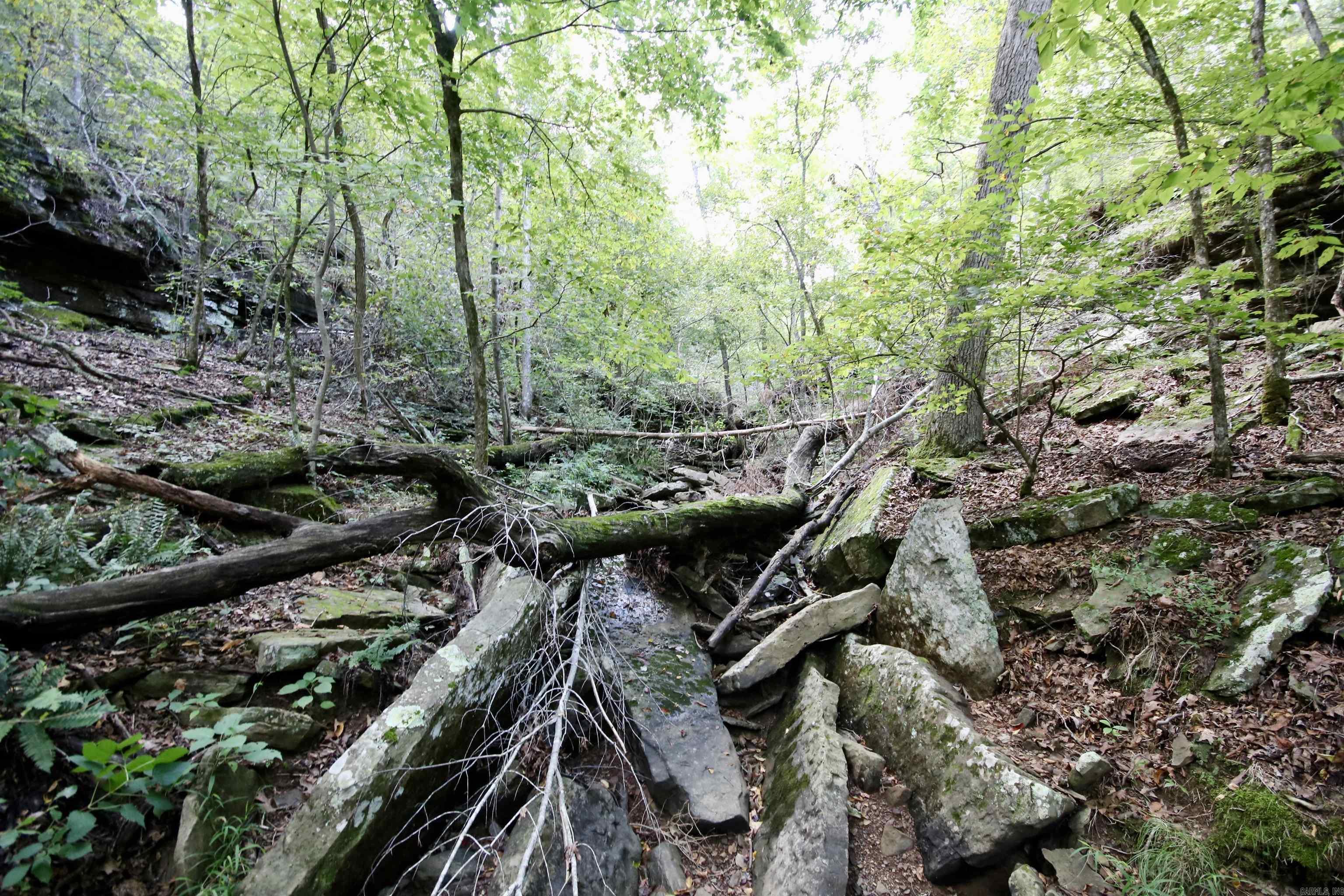 Not in Subdivision - Land