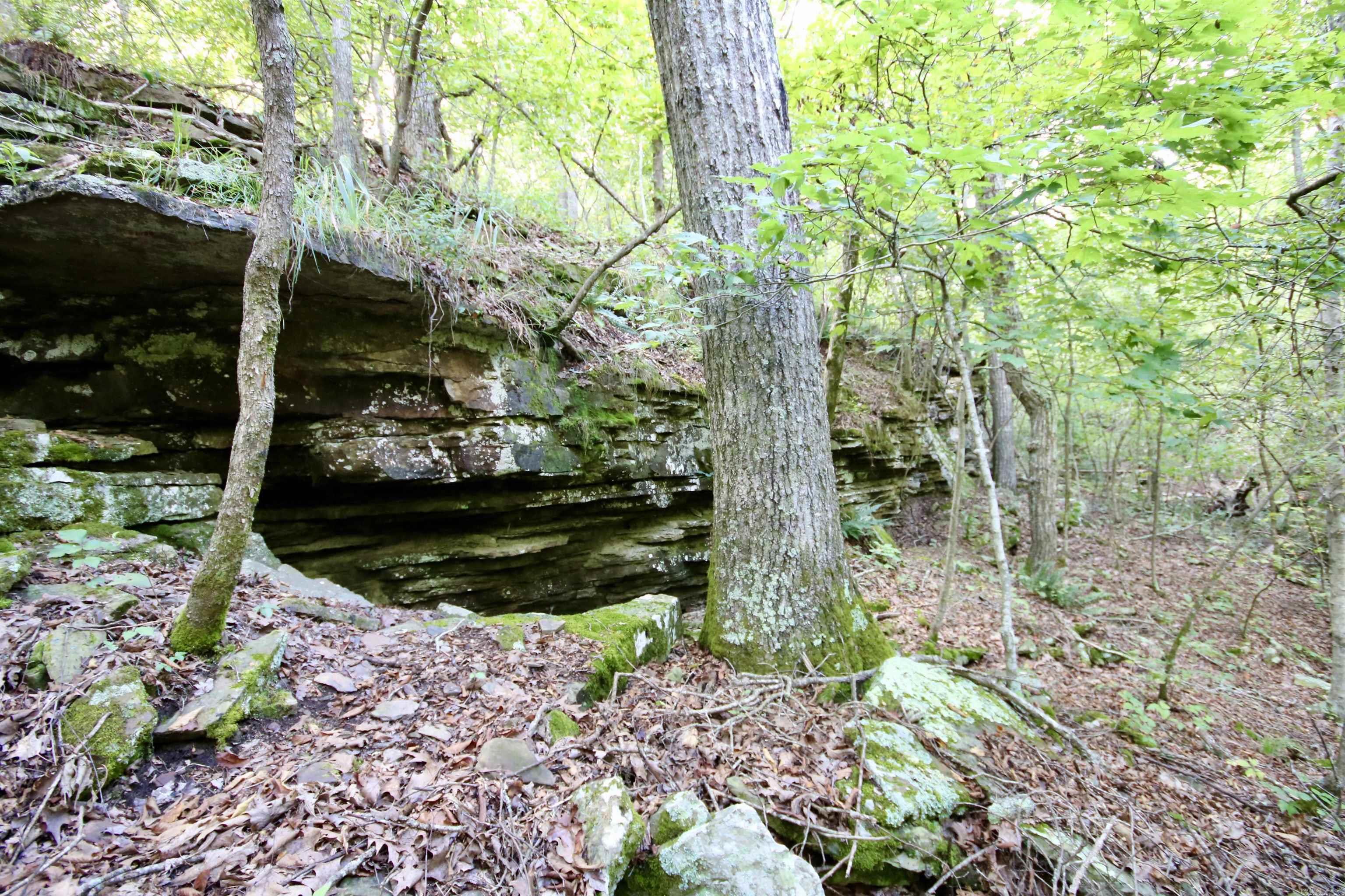 Not in Subdivision - Land