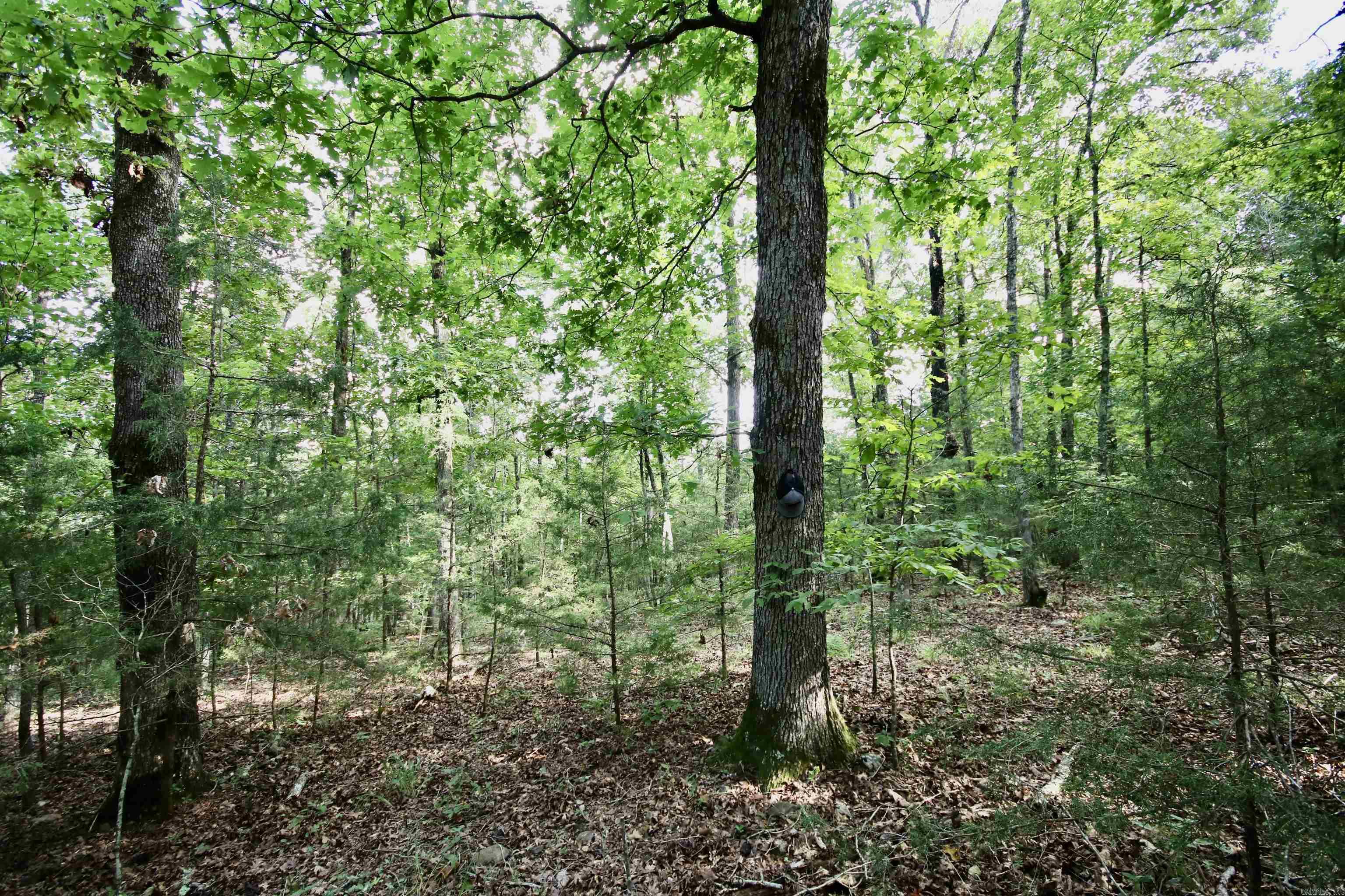 Not in Subdivision - Land