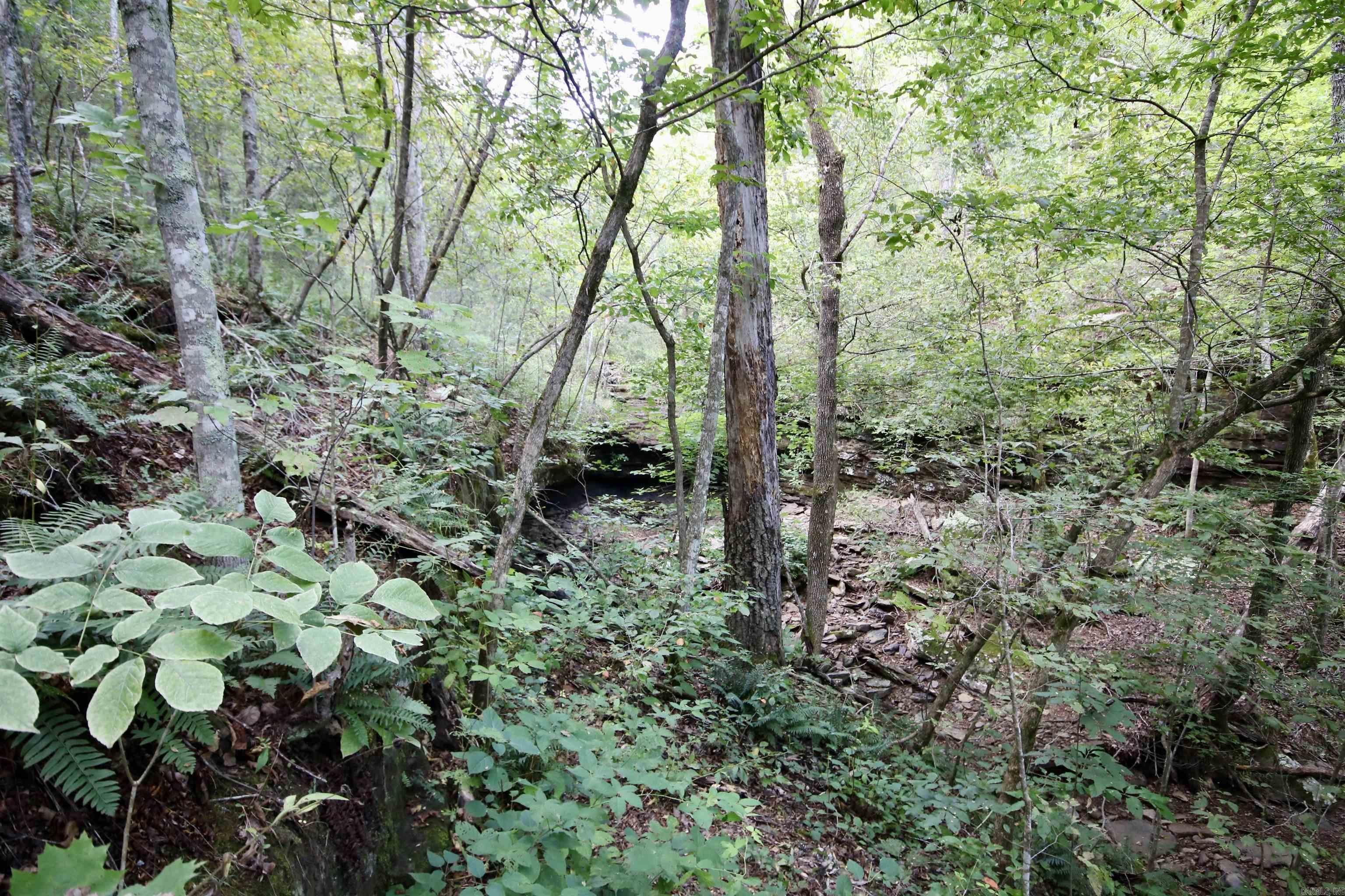 Not in Subdivision - Land