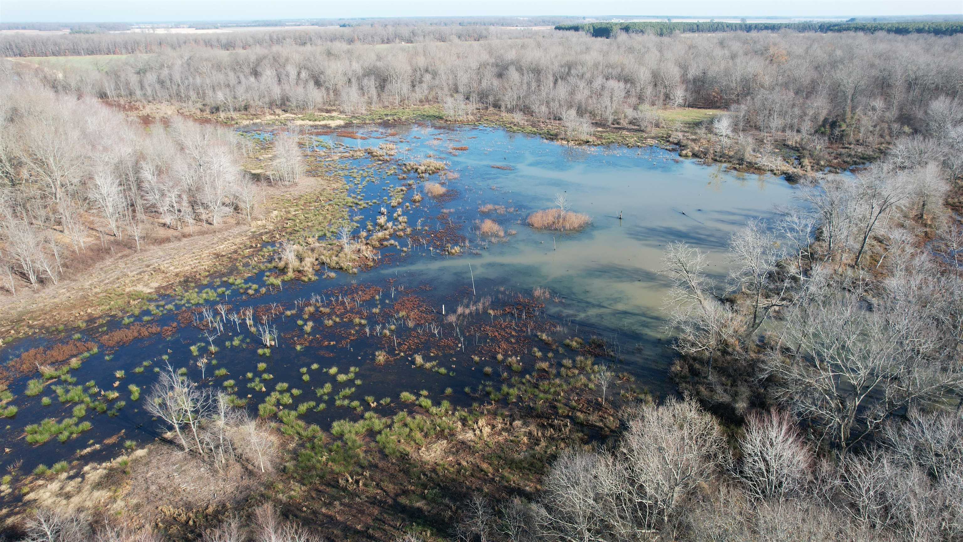 Aykern Flat is 320 contiguous acres m/l of hardwood timber in Southern White County, just a mile north of Bayou Des Arc, 4.5 miles southwest of Raft Creek and Fowlers Point that border the White River. It's a tough find to locate a flat tract of hardwood timber in duck country that hasn't already been fully developed for waterfowl. The highlight for duck hunters will be the large beaver kill located in the east central portion of the property that has gradually expanded over the years.