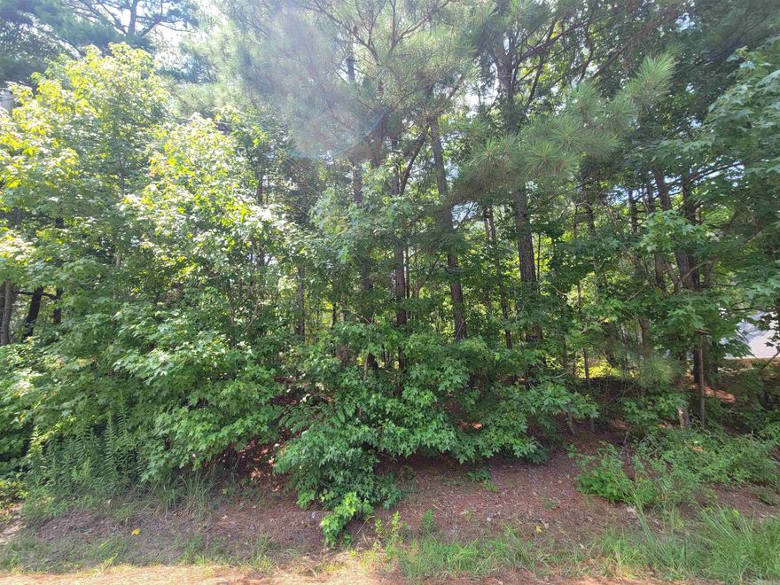 This is a great lot to build your dream home. Just imagine making it your very own!