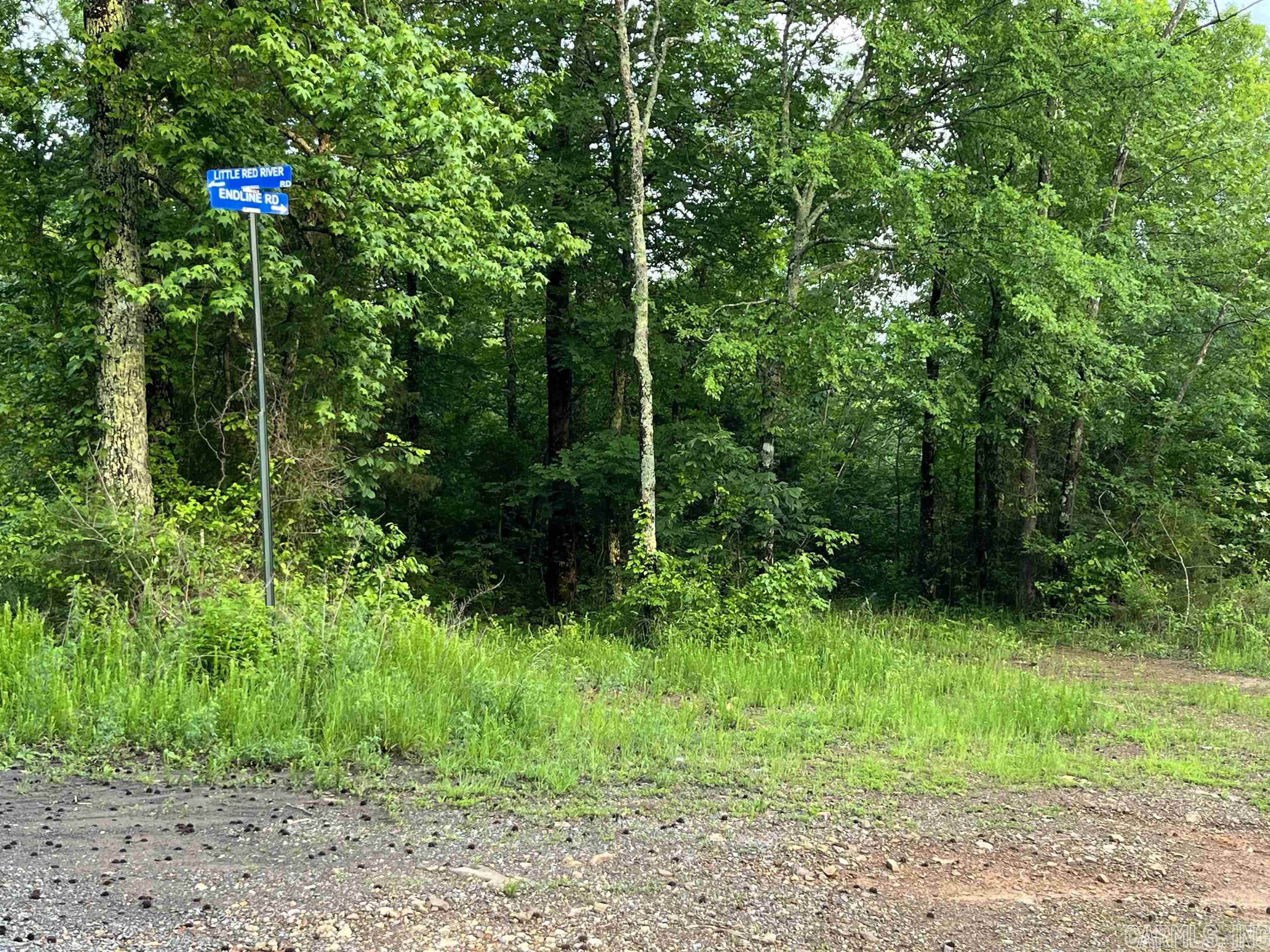 Great opportunity to own a piece of the Ozarks! This 5 acres is wooded with some nice building sites. Perfect place to build a cabin in the country. Good hunting in the area and close to the Little Red River. Water and Electric is available.