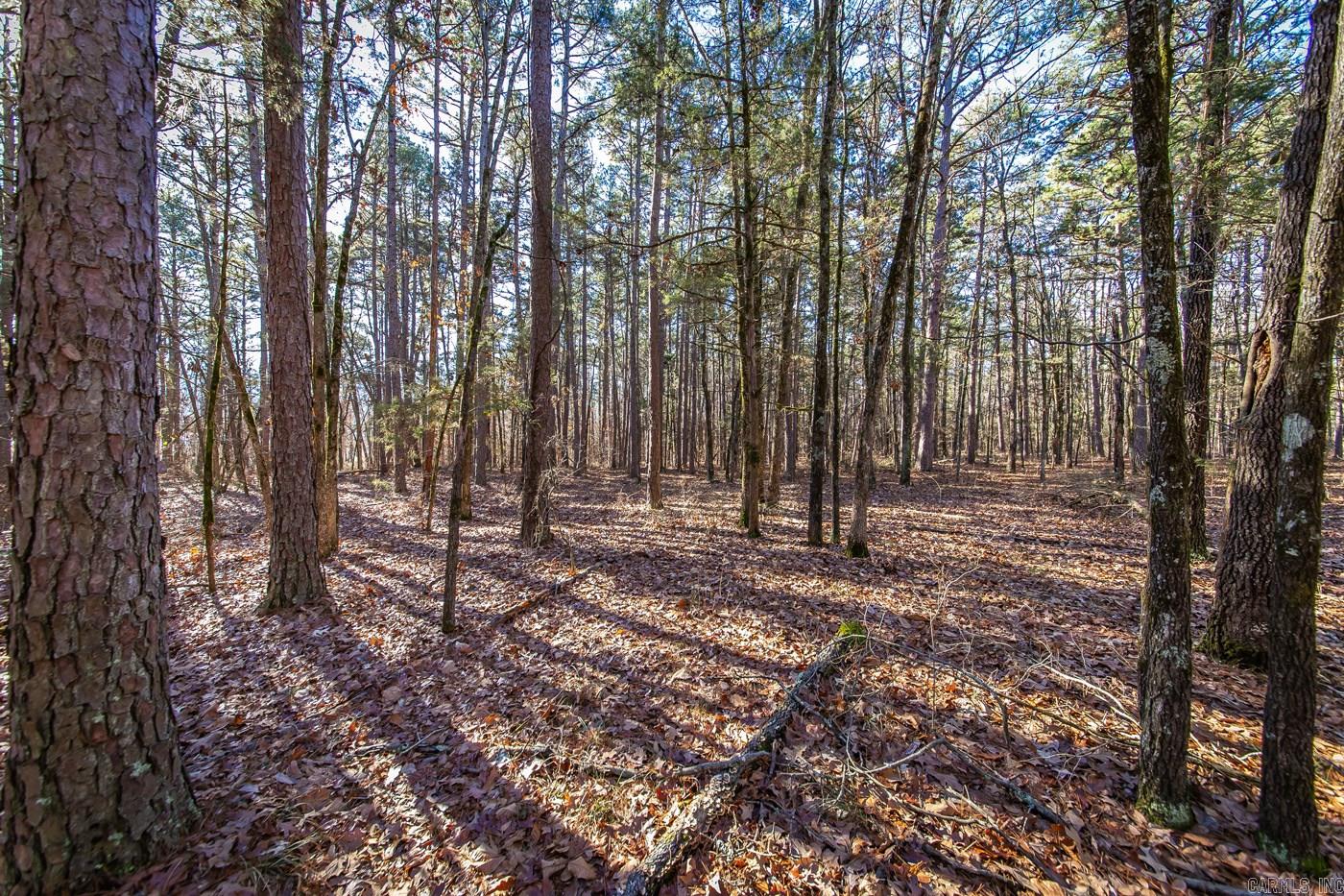 Island at Choctaw Bay - Land