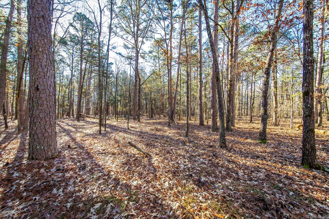Island at Choctaw Bay - Land