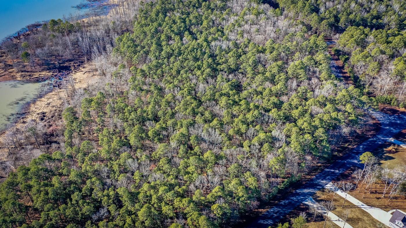 Island at Choctaw Bay - Land