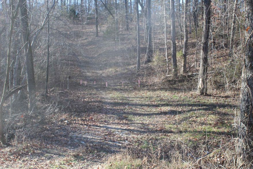 Only 2.5 miles off of Hwy 65 on 27 S. you will find 13 +/- acres of recreational, timberland, hunting land. The property has great potential and would offer various uses. With a nice ridge top this would be a great spot for your forever home with a small clearing already in place. Being close to Marshall which makes it convenient for gathering all your supplies needed from day to day. Property would also offer a business opportunity for some nightly rentals being within 15-20 minutes to the Buffalo National River where you can enjoy kayaking, canoeing, hiking, fishing and numerous other outdoor activities. Wildlife consists of whitetail deer, turkey, bear, and numerous small game animals making it a great spot for the avid hunter. Properties like this are few and far between. Don't miss out on this one!