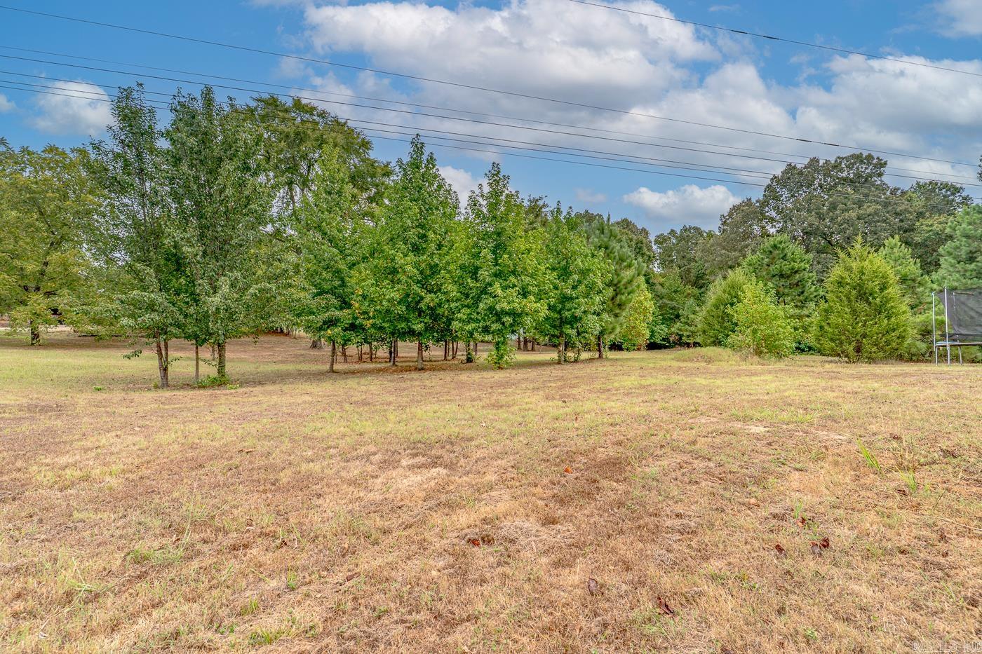 MAYNARD ACREAGE - Residential