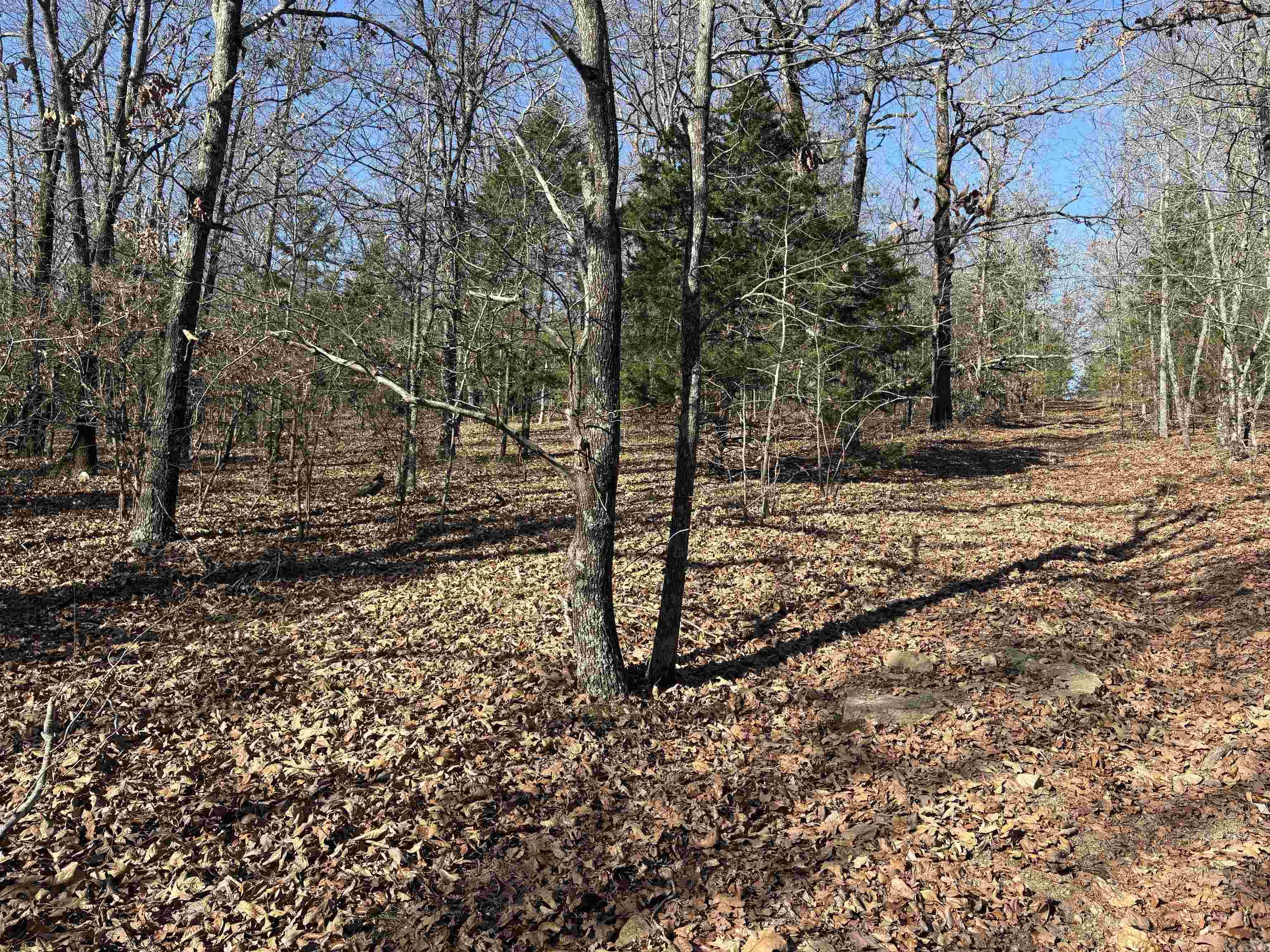 Not in Subdivision - Land