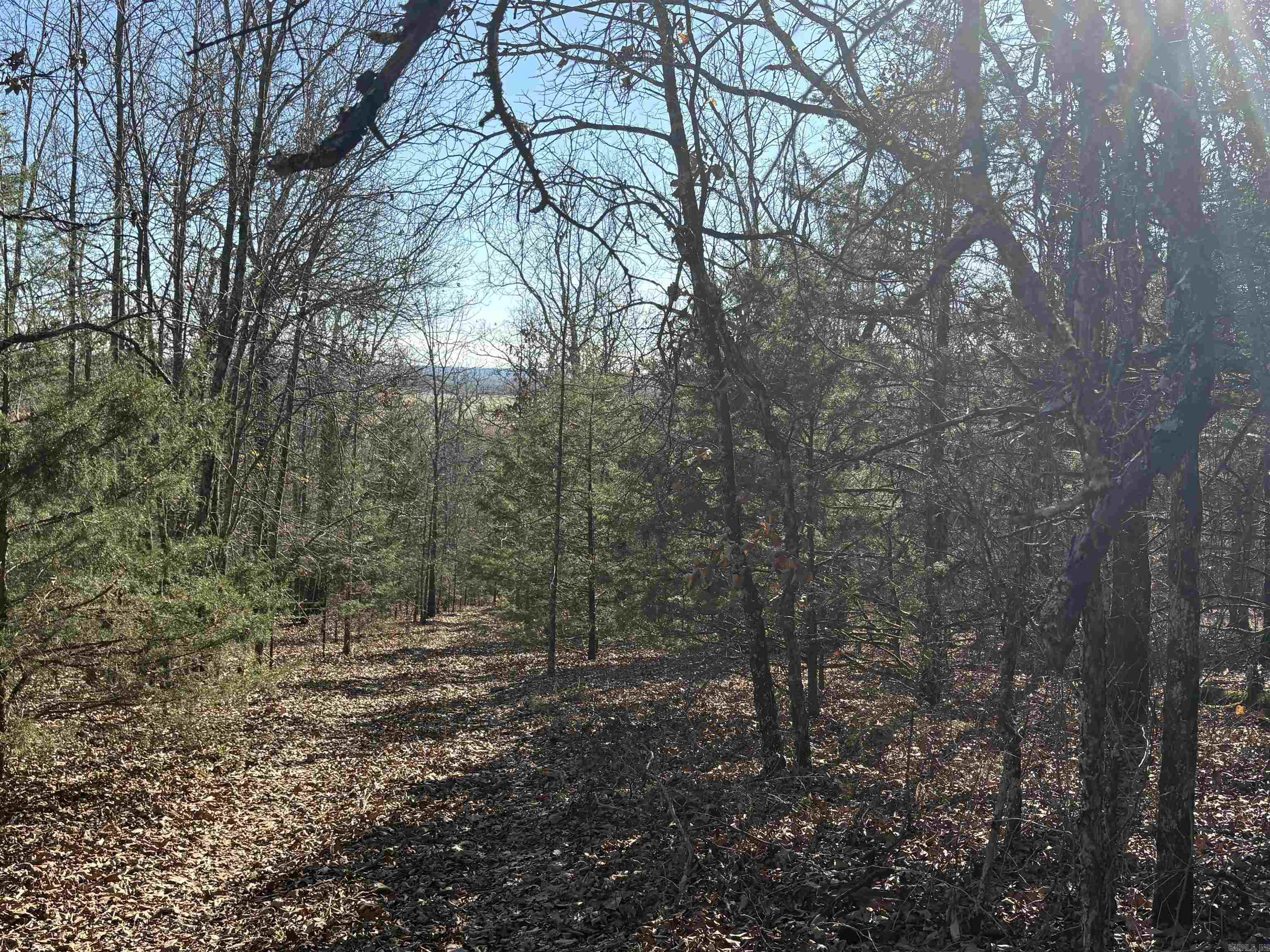 Not in Subdivision - Land