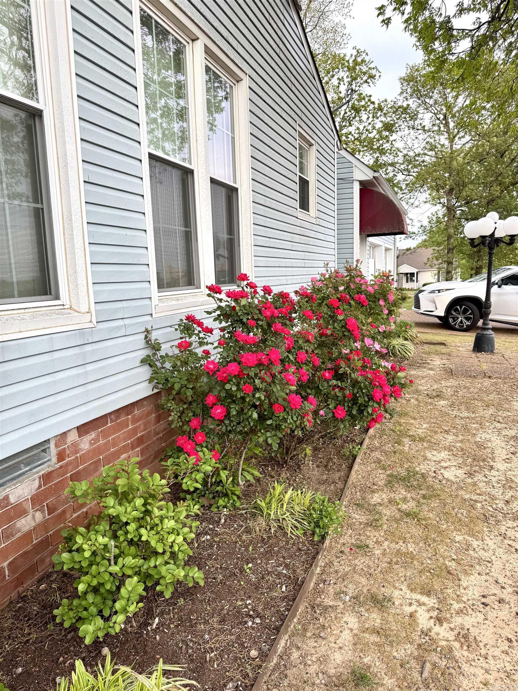 RIVER OAKS TRACE - Residential