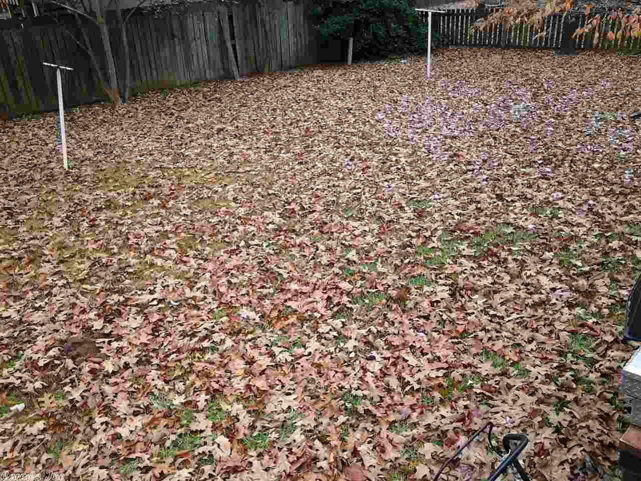 EDGEPARK TO COOK MTN VIL - Residential