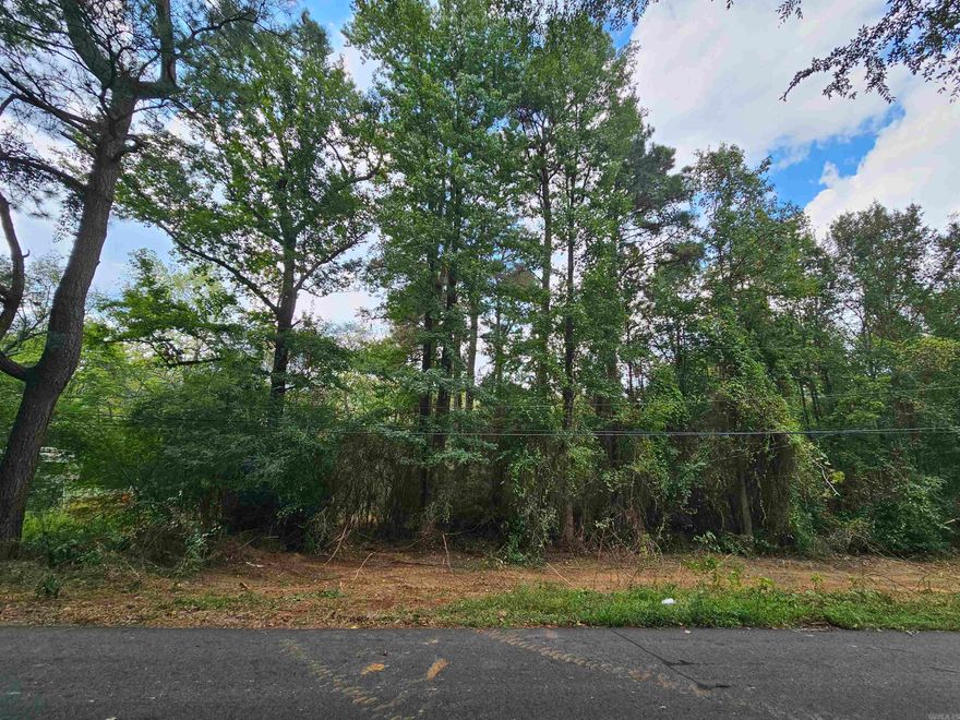 There is 6.86 acres of wooded land with a creek that runs though the front of the property.  The lay out of this property is very unique!  You would have plenty of room to make this a nice home place.  If you want privacy you could make your home in the middle and not see anyone unless you wanted to!  Plus you can still walk to the city park.  This could be the perfect place for you!