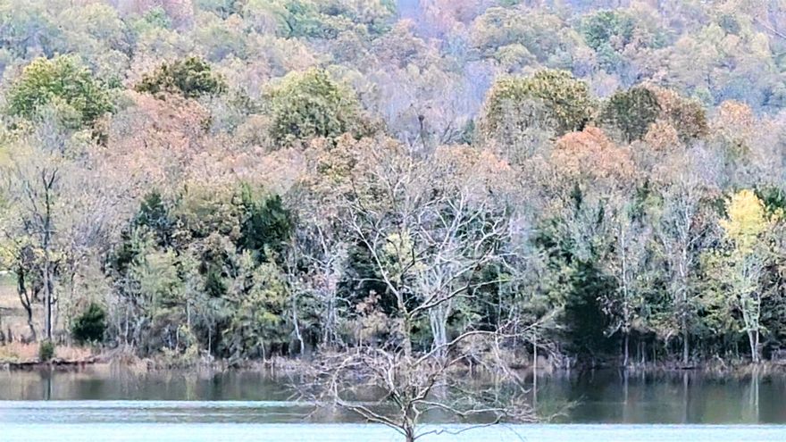 Beautiful tract of wooded land right on Crown Lake. Over four and a half acres to place your new waterfront homestead. Perfect place for a dream home. Over 300 feet of water frontage to choose from. Fairly level lot, slight slope to water. City water and NAEC electricity at the road, Fiber Optic internet available through power company. Don't miss this opportunity. Horseshoe Bend includes amenities such as golf course, muncipal airport, horse shoe pits, library, and a few other lakes great for fishing.