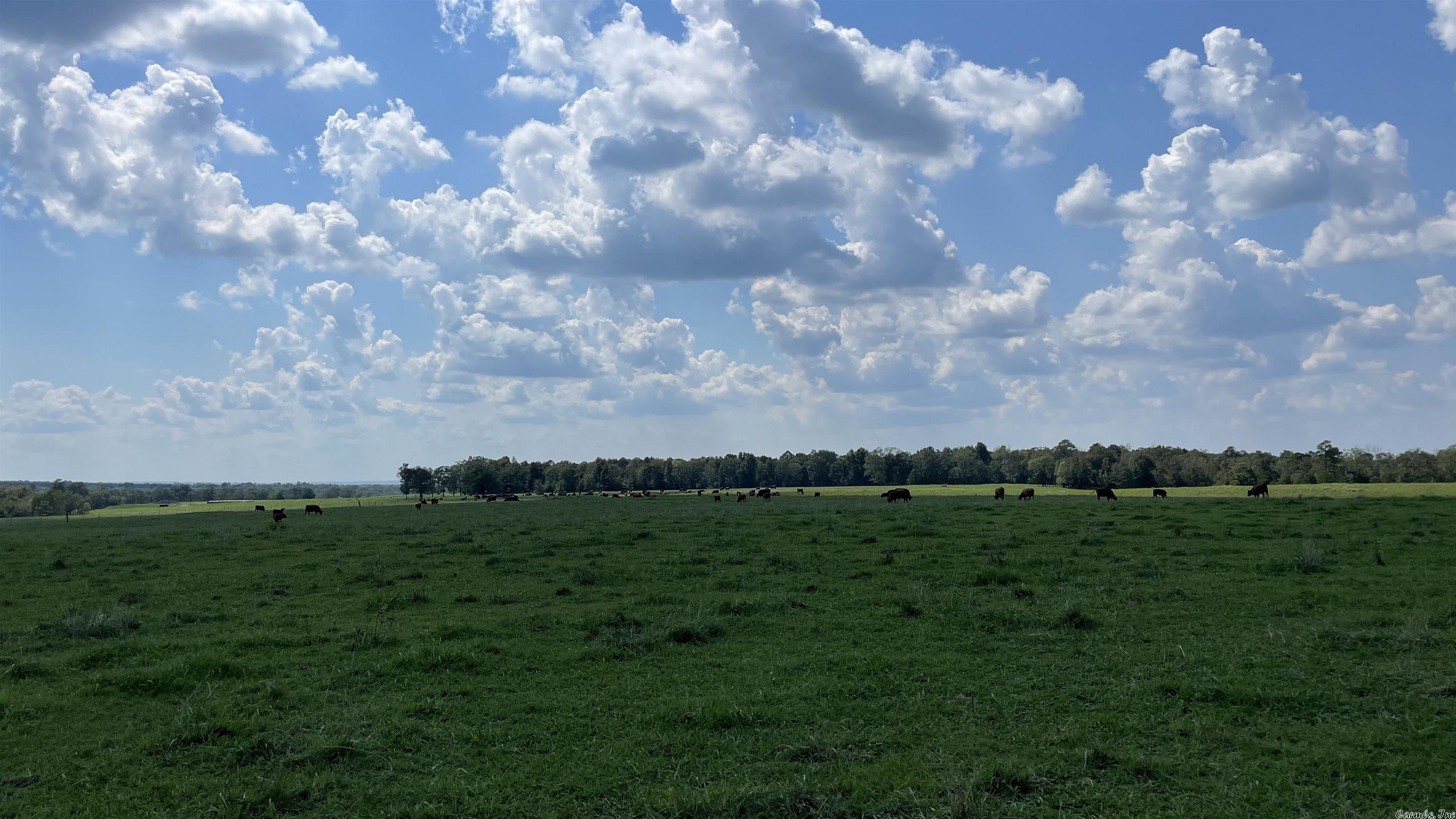 Metes & Bounds - Farm