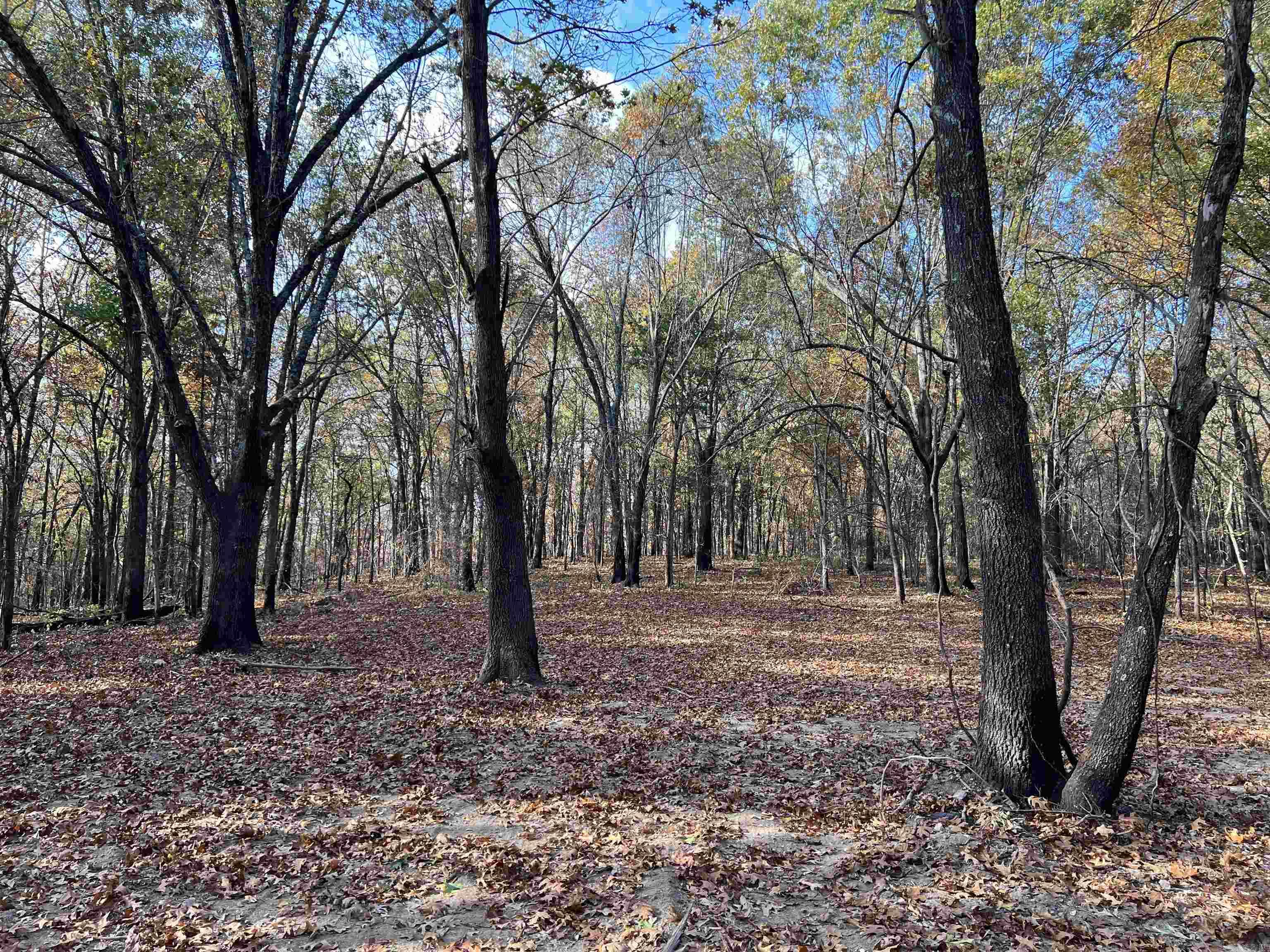 Nice View for the 10.61 Acres. The property features a level secluded building site with lots of hardwood trees, no property restrictions, and electric is available. Call today to schedule a showing.