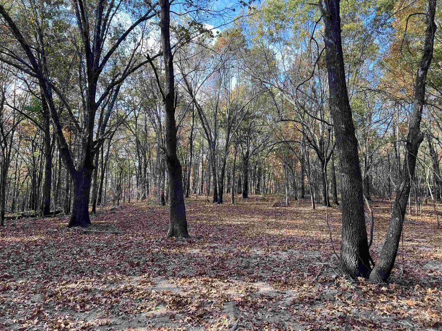 Nice View for the 10.61 Acres. The property features a level secluded building site with lots of hardwood trees, no property restrictions, and electric is available. Call today to schedule a showing.