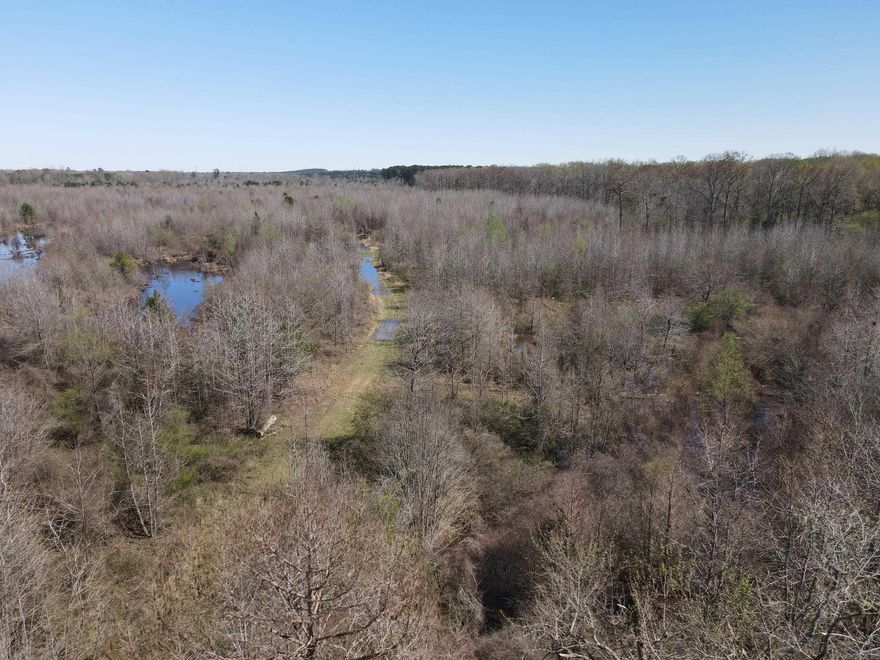 If you are searching for a true recreational hunting property with excellent wildlife habitat, this 160± acre tract in Nevada County is one to see. Known for strong populations of whitetail deer and feral hogs, it also offers potential for seasonal waterfowl hunting due to abundant wetlands.  The landscape features natural wetlands, multiple creeks, and sloughs that create ideal habitat and travel corridors for wildlife. The combination of water, cover, and natural browse supports and holds game year-round.  Timber consists of approximately 10-year-old natural regrowth, providing thick bedding cover and security while offering long-term timber growth potential. The dense cover, paired with natural funnels and water features, makes this property highly attractive for hunting.  A central interior road provides convenient access throughout the tract, allowing easy navigation for setting stands, checking cameras, and retrieving game.  Located in a region known for quality deer and consistent hunting success, this property is ideal for a private hunting retreat, group hunting tract, or recreational investment with strong habitat value.