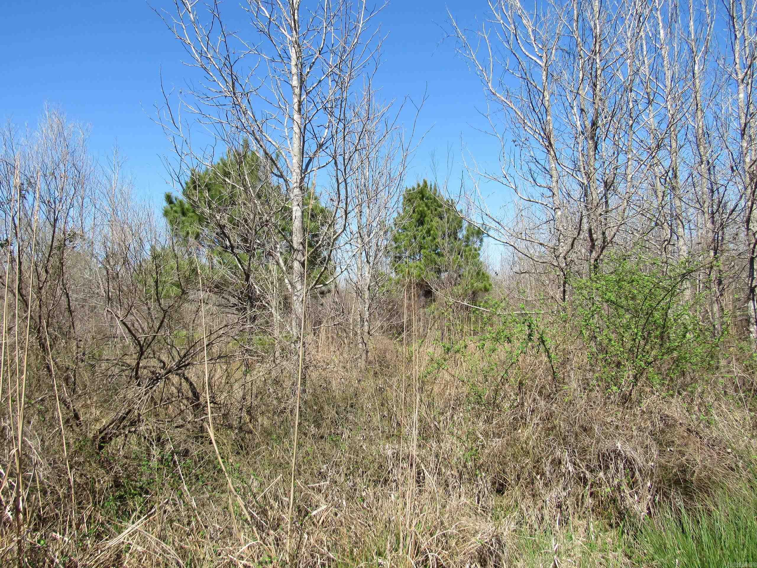 Not in Subdivision - Land