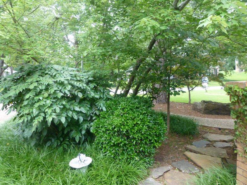 PLEASANT VALLEY - Residential