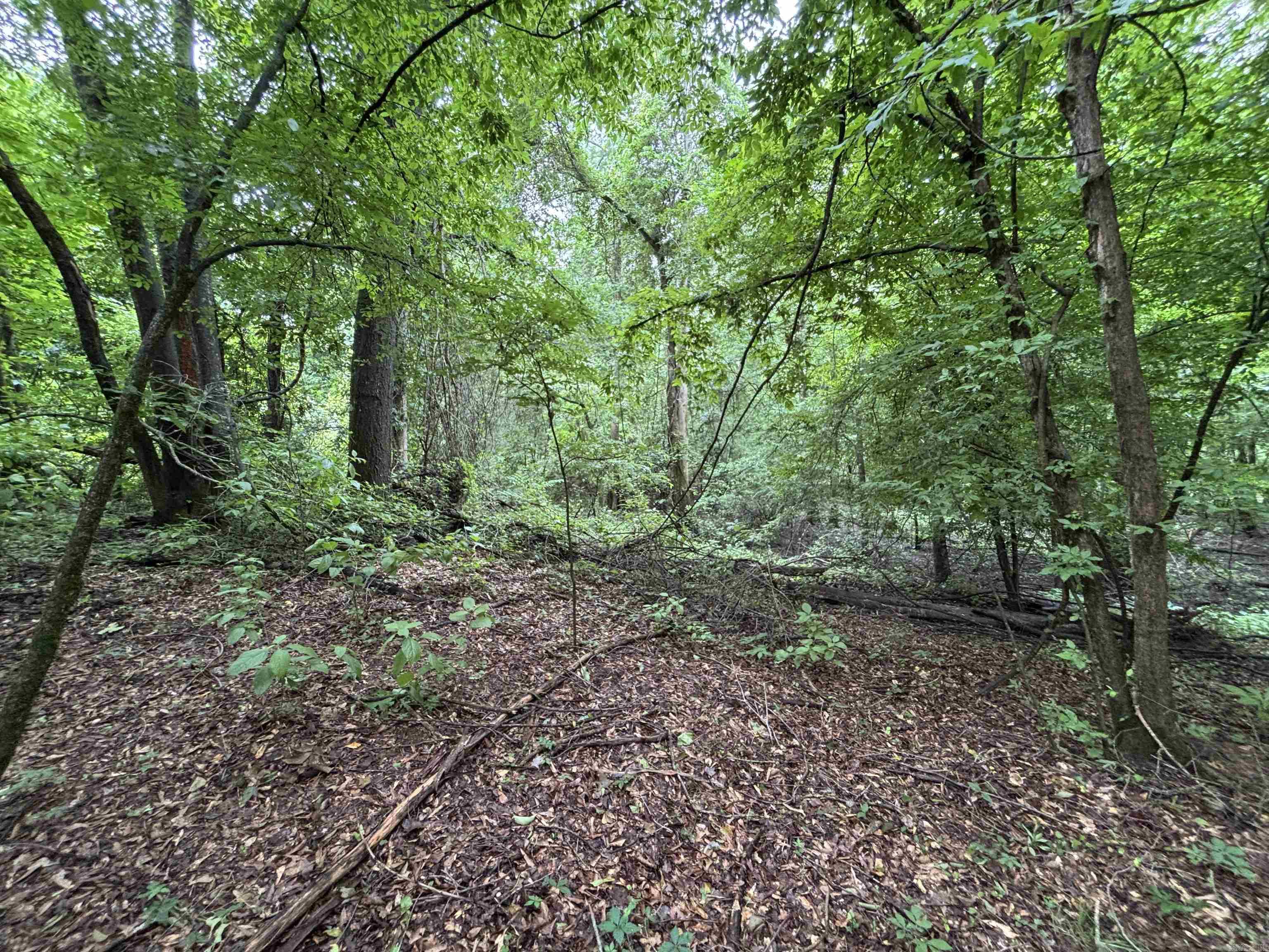 21+- acres Cleared, wooded, vista view build sites, level land, with turkey and deer, quiet neighborhood, close proximity to Searcy Arkansas. Here is a great tract to hunt or build on. Shooting lanes, good trail system takes you to the perimeter, and all the stands used for hunting and viewing wildlife.