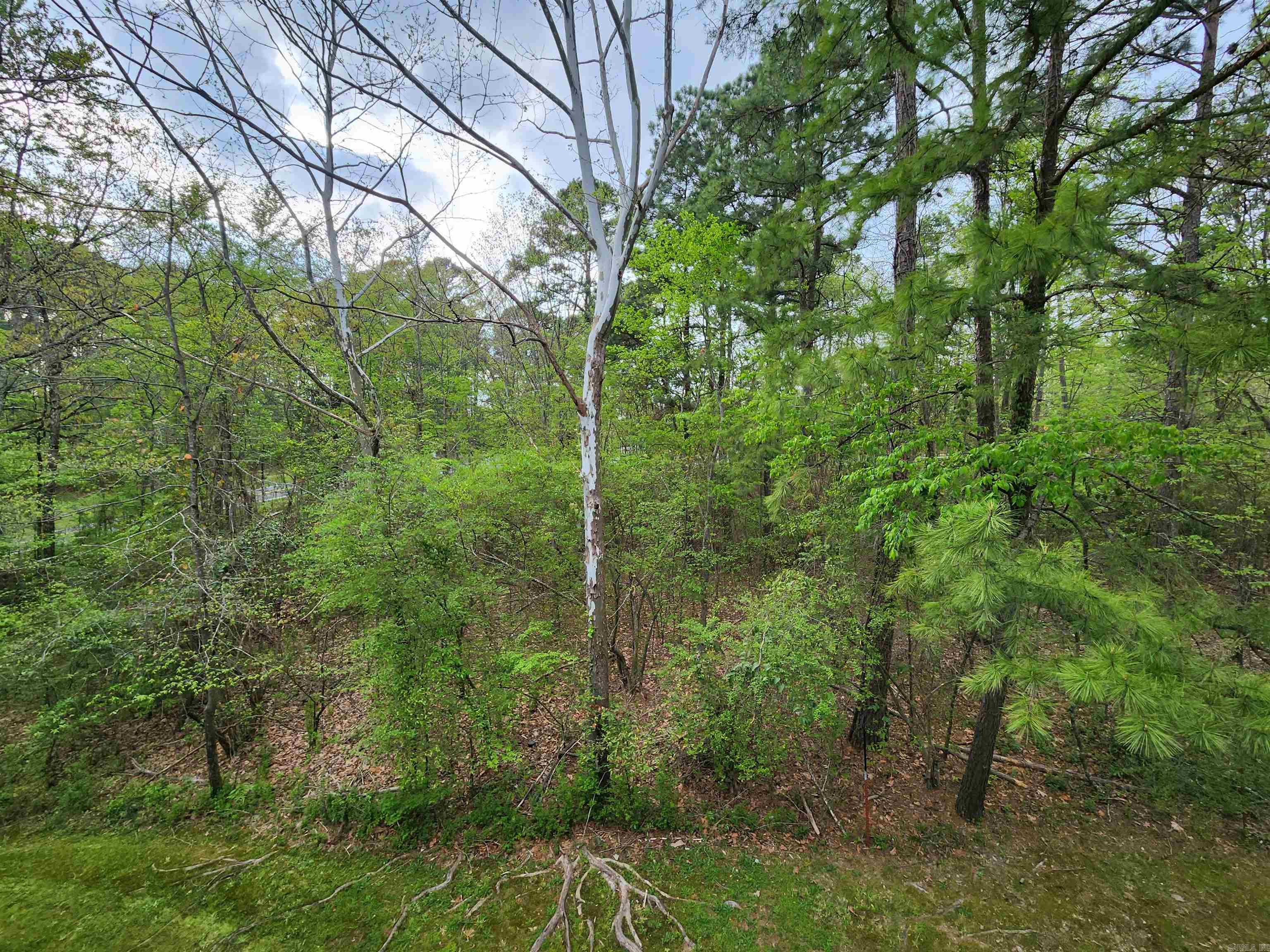 SPRING RIDGE CONDOMINIUM ESTATES - Residential