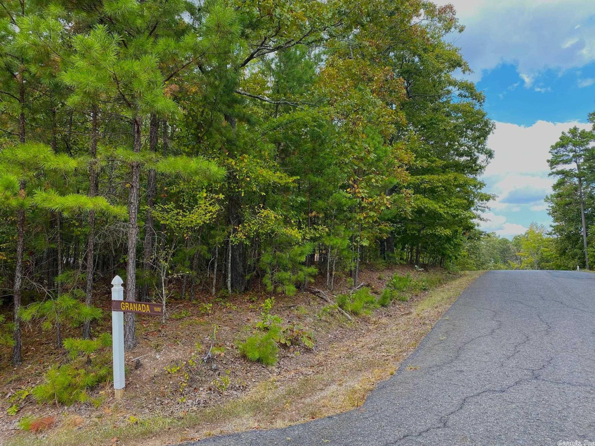 Fantastic Building site for your forever home in Diamante's private golf course located in Hot Springs Village. Largest gated community in the country, 26,000 acres,11 lakes,8 additional golf courses, miles of walking trails, less then 30 min. from Historic down town Hot Springs Oaklawn Race Track/Casino Diamante home to #3 ranked award winning golf course in Arkansas Golf Digest.