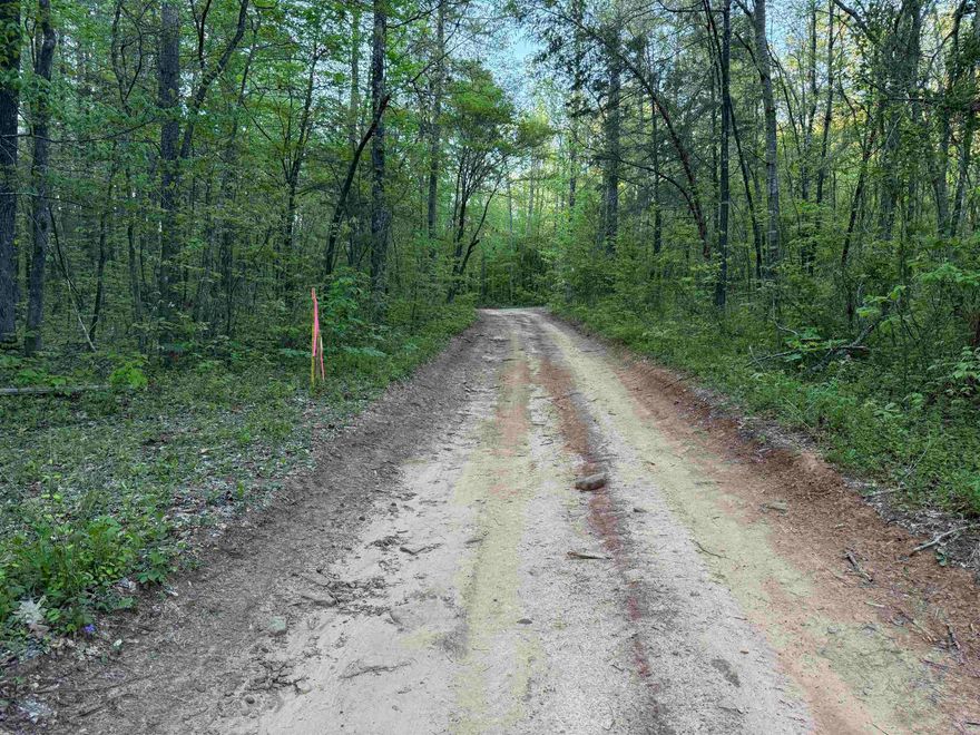 Discover 9.8+/- off-grid acres in Van Buren County, Arkansas, with Pee Dee Creek flowing through the property and a scenic cabin site ready for your dream getaway. This secluded tract features dramatic bluffs, natural springs, and cave overhangs—perfect for outdoor enthusiasts, homesteaders, or anyone seeking peace and privacy in the Ozarks. Whether you're looking for a quiet retreat or a basecamp for exploration, this land offers a rare mix of water, elevation, and raw natural beauty. Don't miss this opportunity to own your slice of Arkansas wilderness.