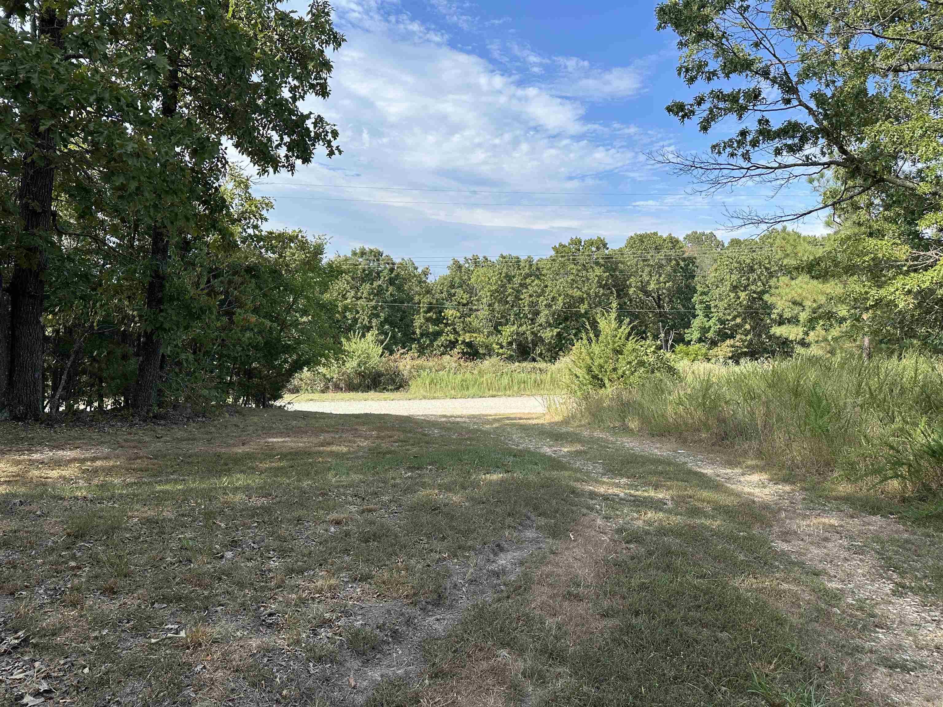 Gently rolling 4.10 ac m/l with private well, possible septic and electric on the property. Partially cleared. One mile off the main road! Ready for a home or RV. No restrictions!